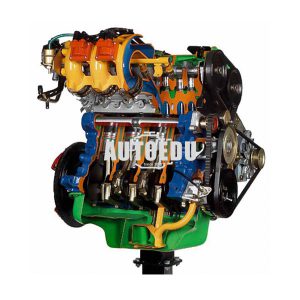 16 Valve 4 Cylinders Fiat Engine with Multipoint Electronic injection cutaway model AE34800E