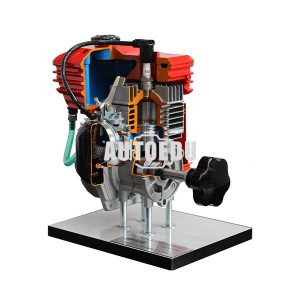 2 Stroke Petrol Engine Cutaway Model AE37450M