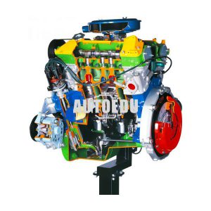 6V Cylinders Petrol Engine with Multipoint Electronic Injection Cutaway Model AE35205