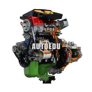 Fiat Petrol Engine with Electronic Injection – Monojetronic + Gearbox cutaway AE35220 IEM