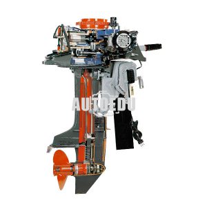 Marine Outboard Engine 2 Strokes cutaway model AE37900