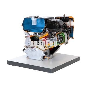 Single-cylinder 4 Stroke Petrol Engine Air Cooled cutaway model (on the base) AE35245M